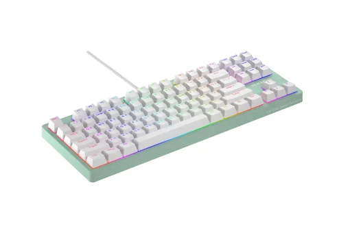 Клавіатура HATOR Rockfall 2 TKL Mecha Aurum Orange Switch Mint (HTK-723)